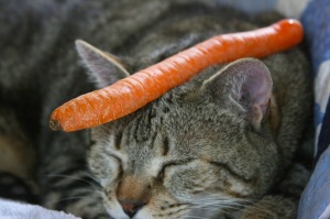 Things on Cowboy's Head. No. 38: Carrot.